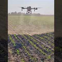 Best Agriculture Spray Drone