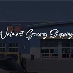 GROCERY SHOPPING 2023 | An International Student's Grocery Haul in 🇨🇦 Canada