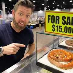 Private Tour Of the World's Most Expensive Pet Show