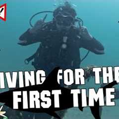 🦈 Scuba Dive with SHARKS! | From Beginner to PADI Certified in Just 4D3N at Tioman Island