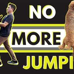 Super simple way to stop a dog from jumping.