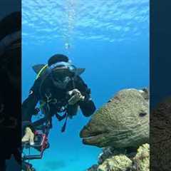 🌊 Discover Thailand’s Hidden Depths: Ultimate Scuba Diving Adventure! 🐠✨