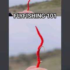 What Is a Fishing Fly? 🤔 #fishing #flyfishing #humor
