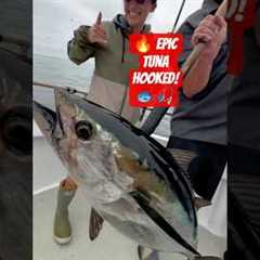Adventure Tuna Hook Fishing 🎣 | Deep Sea Big Catch #shorts #fishing #usa #shortsfeed