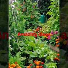 gardening tips for beginners #garden #gardening #gardening tips and ideas# gardening for beginners