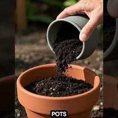 5 Gardening Myths Busted! | Truth About Roots, Soil Change, Mothballs & More