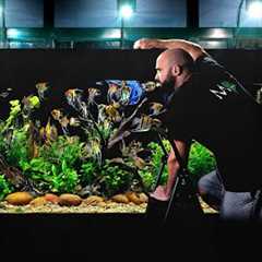 I Added Over 100 FISH into My Huge Ecosystem Aquarium