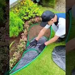 Creative Landscape Design on Garden Edge #landscape #garden #plants