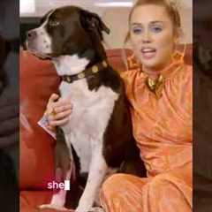 Celebrities and Their Animal Besties