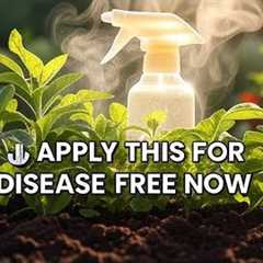 🛑 STOP Plant Diseases ! 7 Proven Organic Sprays From Your Pantry