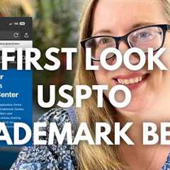 First Look Walkthrough USPTO New Trademark Application System