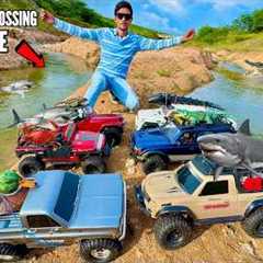 RC Car Rescues Trapped RC Water Animals - Chatpat toy TV