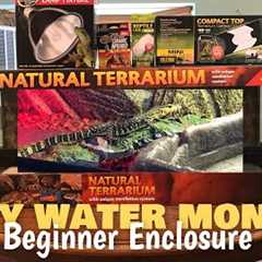 Baby Asian Water Monitor Setup | Basic Beginner Enclosure