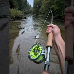 On today’s episode of river monsters #flyfishing #kingsalmon #chinooksalmon  #trout