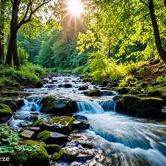 Healing Harmony: Music for the Heart 🌿 Relaxing music to reduce stress