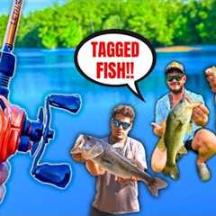 1v1v1 TROPHY Bass Pond Fishing Challenge (RARE Tagged Fish!!)
