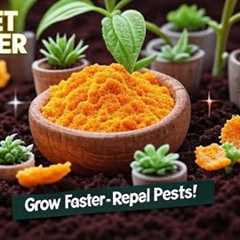 The SECRET Powder That Makes Plants Grow Faster & Repels Pests!