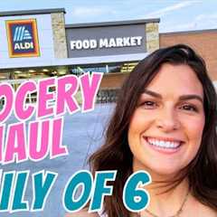GROCERY SHOP WITH ME ON A BUDGET! ALDI GROCERY HAUL + TARGET HAUL | ALDI GROCERY HAUL ON A BUDGET