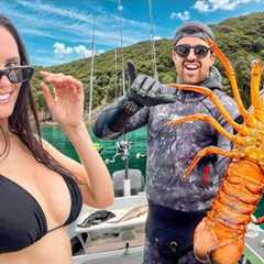 Diving for Big Crayfish in Tropical Bays - New Zealand Lifestyle Adventure 