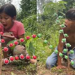 Amazing Jungle Survival With Mom & Kids  Building a Secret Forest Shelter