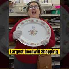 Shopping at the Biggest Goodwill Thrift Store with Dr. Lori