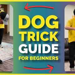 Dog Trick Tutorial for First-Timers | Step-by-Step Guide