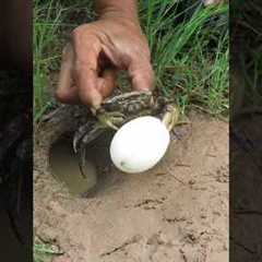 Survival Skills: SIMPLE ideas and USEFUL with CRAB 🦀 #outdoors #survival #bushcraft