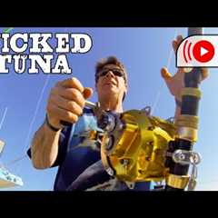 Wicked Tuna Channel Live - 24/7 Fishing Action!!!