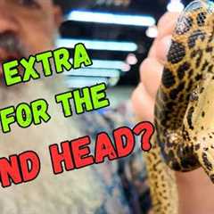 Every Reptile I TRIED to Resist Buying at the 2025 Anaheim Reptile Super Show