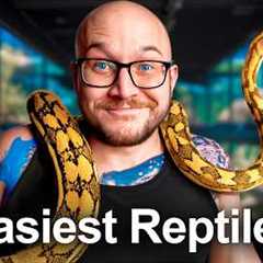The 5 EASIEST Reptiles You Don't Know About