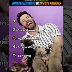 Ranking Celebrity Unexpected Ways With Cute Animals