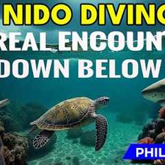 Philippines Scuba Dive | SURPRISING adventure !