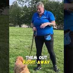Puppy Potty Training Hack