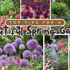 Top Tips for Planning & Planting a Beautiful Spring Flower Garden!