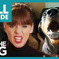 Victoria Tries to Tame Two Unruly Dobermans! | Full Episode | It's Me or The Dog