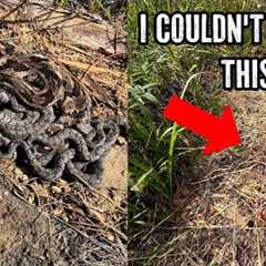7 Rattlesnakes Under One Log! Insane Early Fall Herping in North Georgia