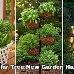 15 Dollar Tree Garden Hacks NOBODY Talks About (Transform Your Garden)