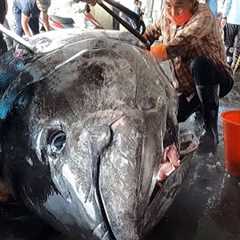 From catching a 500kg bluefin tuna to butchering and preparing dishes