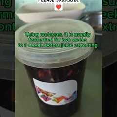 FERMENTED FRUIT JUICE #youtubeshorts #farming #backyardfarming