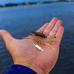 The Secret Easiest Way to Catch Saltwater Fish