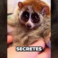 Exotic Pets: The Hidden Dangers No One Tells You 🐍