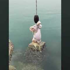fishing crab with chicken