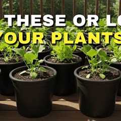 7 Container Garden Mistakes That Kill Plants (and How to Fix Them!)