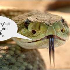 Why I hate these standard linguistic conventions