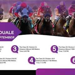 LRC Live  - 3rd Day Lahore Winter Meeting 2025-2026 | September 21, 2025 #horse #race #horserace