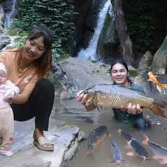 Catching stream fish with forest leaves, nutritious stream fish dish for your beloved daughter