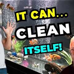 The Master's Guide to a Healthy Aquarium
