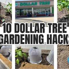 10 Dollar Tree Gardening Hacks ~ Ideas!!