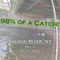 Fly Fishing For Salmon - Day 3 - Salmon River, NY (09/17/2025) - 98% of a Catch!
