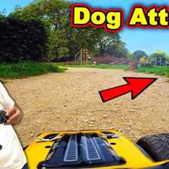 This Dog Chased Me FPV RC Cars In N Out Troll Prank